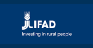 IFAD Internship