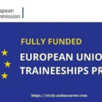 EU Traineeship