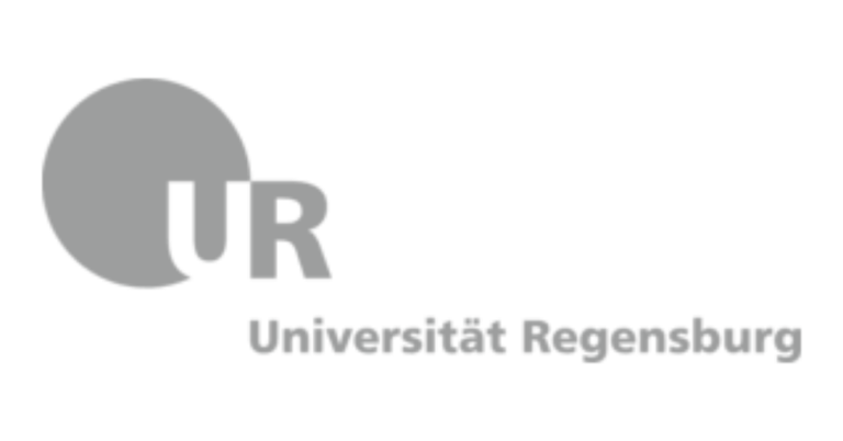 University of Regensburg
