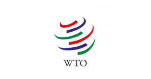 WTO Young Trade