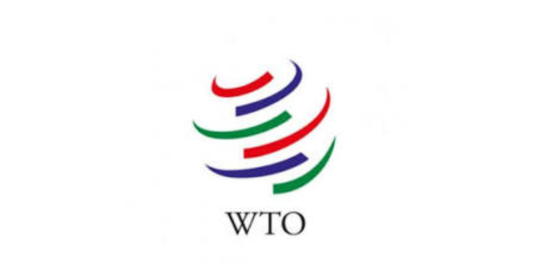 WTO Young Trade
