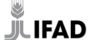 IFAD Internship