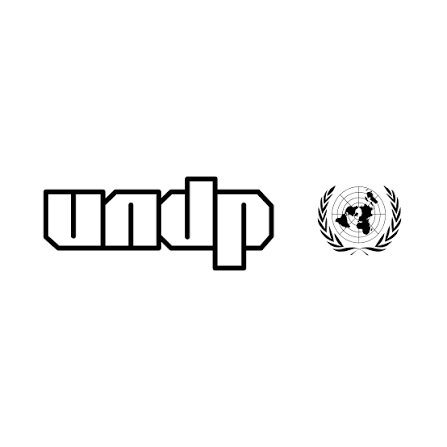 UNDP
