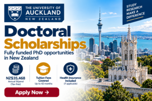 Doctoral Scholarships