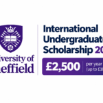 Undergraduate