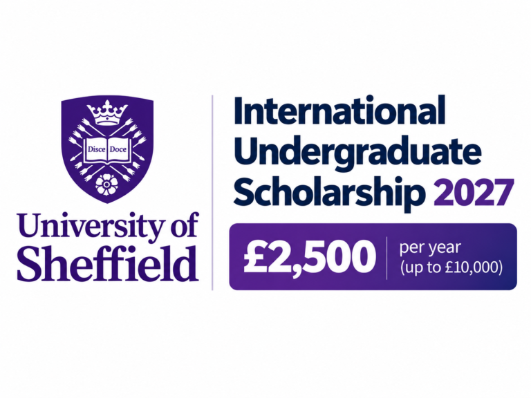 Undergraduate