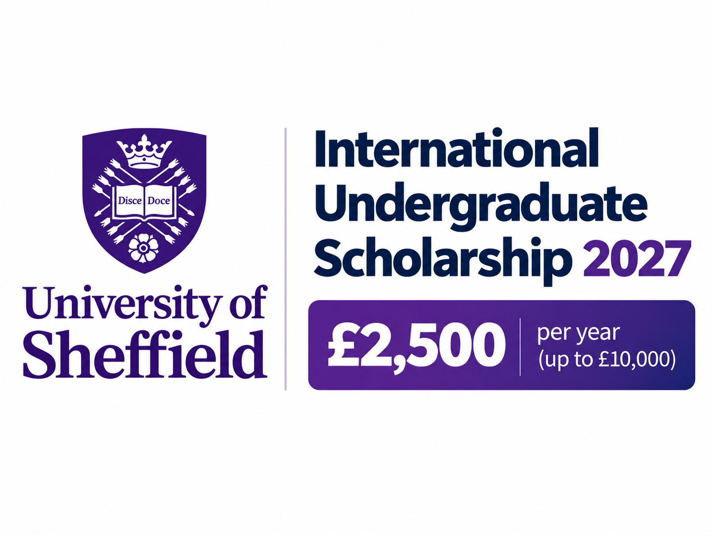 Undergraduate