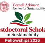 Postdoctoral Fellowships